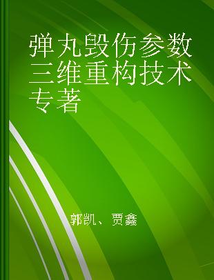 弹丸毁伤参数三维重构技术