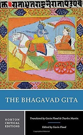 The Bhagavad gita : a new translation, contexts, criticism /