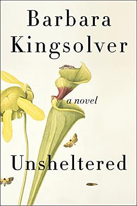 Unsheltered : a novel /