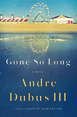 Gone so long : a novel /