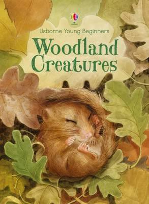 Woodland creatures /