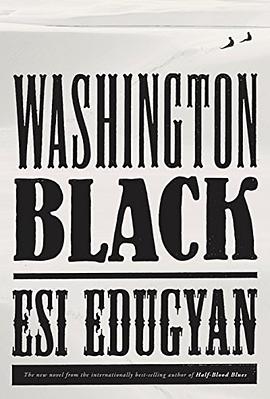 Washington Black /