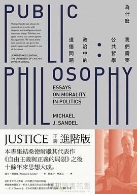 为什么我们需要公共哲学 政治中的道德问题 essays on morality in politics