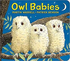 Owl babies /