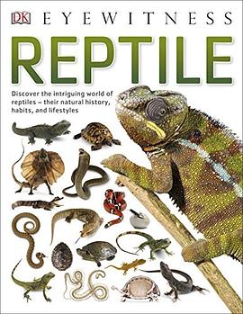Reptile /