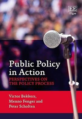 Public policy in action : perspectives on the policy process /