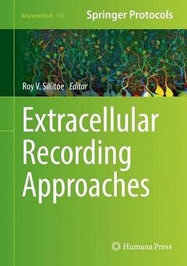 Extracellular recording approaches /