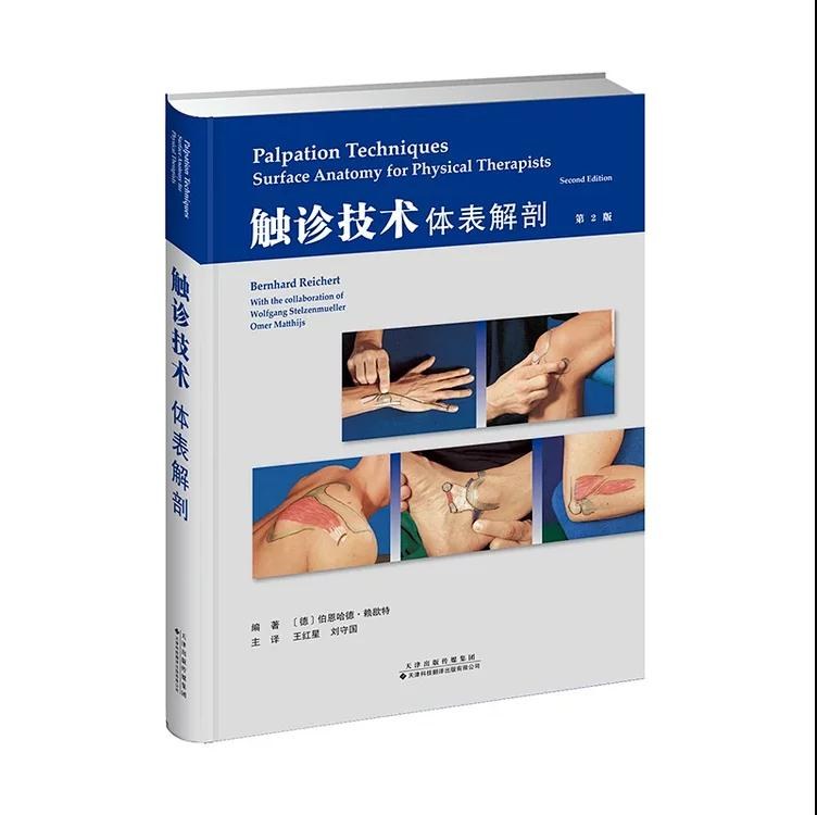 触诊技术 体表解剖 surface anatomy for physical therapists