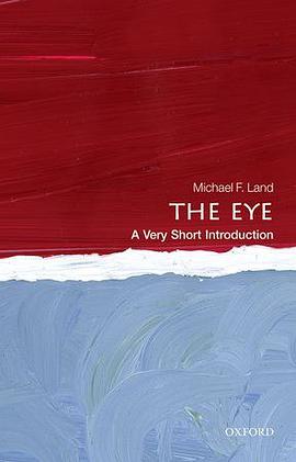 The eye : a very short introduction /