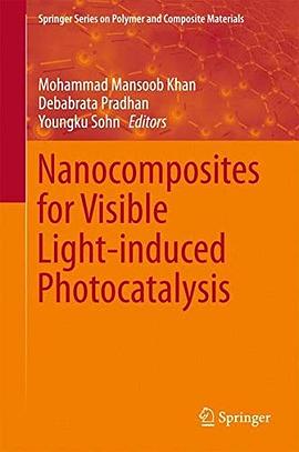 Nanocomposites for visible light-induced photocatalysis /