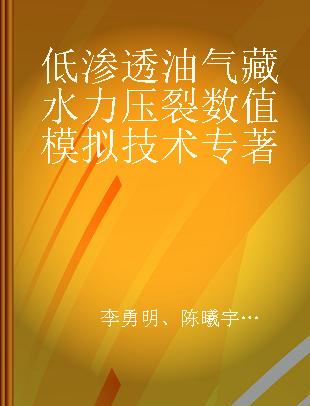 低渗透油气藏水力压裂数值模拟技术