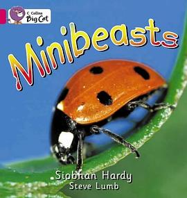 Minibeasts /