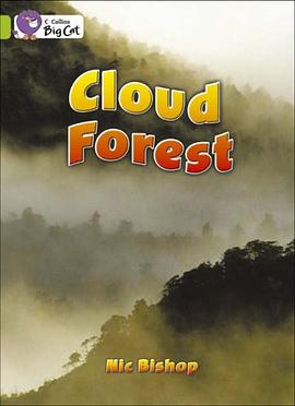 Cloud forest /