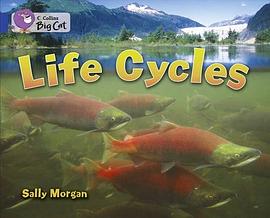 Life cycles /