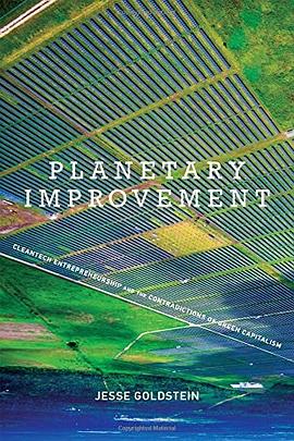 Planetary improvement : cleantech entrepreneurship and the contradictions of green capitalism /