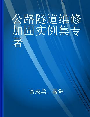 公路隧道维修加固实例集