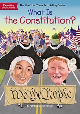 What is the constitution? /