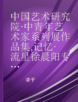 中国艺术研究院·中青年艺术家系列展作品集 记忆·流星 徐晨阳 Xu Chenyang