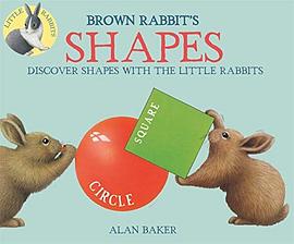 Brown Rabbit's shapes /