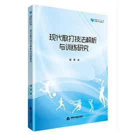 现代散打技法解析与训练研究