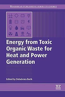 Energy from toxic organic waste for heat and power generation /