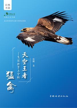 天空王者 飞过北京上空的猛禽