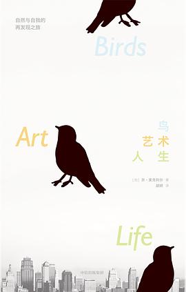 鸟 艺术 人生