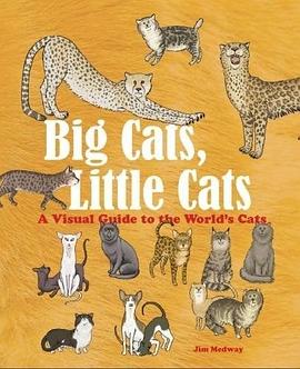 Big cats, little cats : a visual guide to the world's cats /