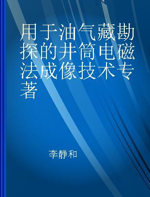 用于油气藏勘探的井筒电磁法成像技术