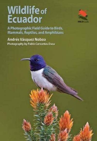Wildlife of Ecuador : a photographic field guide to birds, mammals, reptiles, and amphibians /