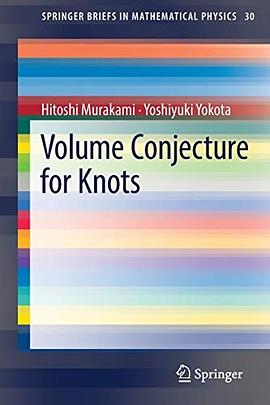 Volume conjecture for knots /