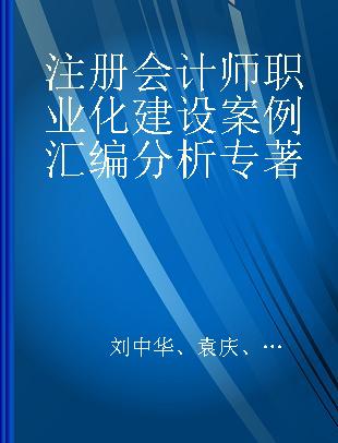 注册会计师职业化建设案例汇编分析