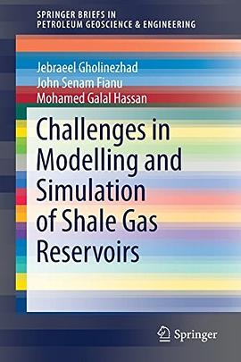 Challenges in modelling and simulation of shale gas reservoirs /