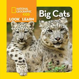 Big cats /