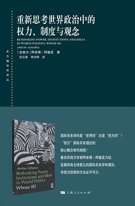 重新思考世界政治中的权力、制度与观念