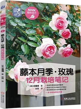 藤本月季·玫瑰12月栽培笔记
