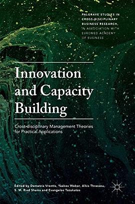 Innovation and capacity building : cross disciplinary management theories /