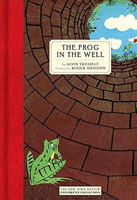 The frog in the well /