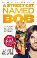 A street cat named Bob /