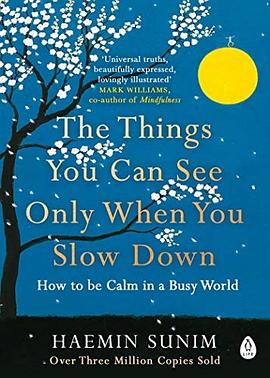 The things you can see only when you slow down : how to be calm in a busy world /