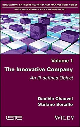 The innovative company : an ill-defined object /