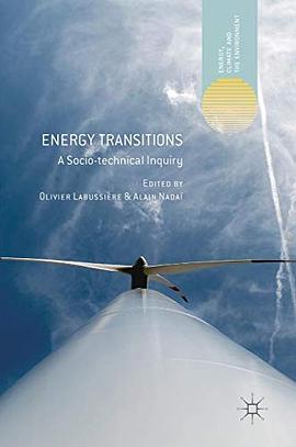 Energy transitions : a socio-technical inquiry /