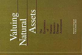 Valuing natural assets : the economics of natural resource damage assessment /