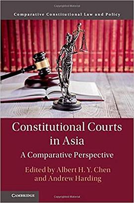 Constitutional courts in Asia : a comparative perspective /