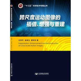 跨尺度运动图像的插值、增强与重建