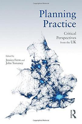Planning practice : critical perspectives from the UK /