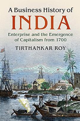 A business history of India : enterprise and the emergence of capitalism from 1700 /