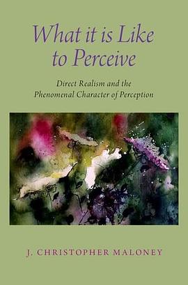 What it is like to perceive : direct realism and the phenomenal character of perception /
