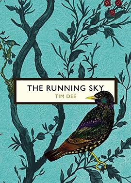 The running sky : a birdwatching life /
