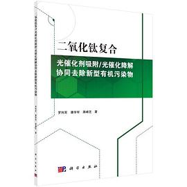 二氧化钛复合光催化剂吸附/光催化降解协同去除新型有机污染物